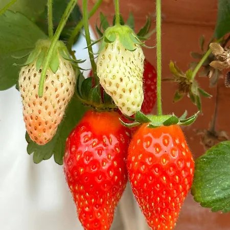 Quarto em Acomodações Particulares Maria By Host-point